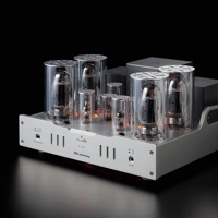 Allnic/ZL Technologies A-2000 25th variant 4