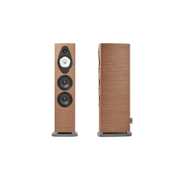 Sonus Faber Sonetto v variant 1
