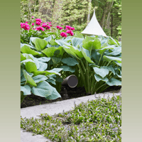 MartinLogan Dynamo Outdoor Sub 100 variant 23