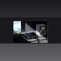 FiiO K13 R2R variant 15