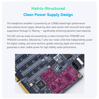 Cayin N6iii R202 variant 7