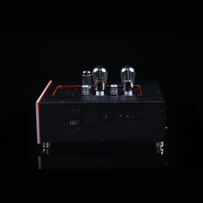 SW1x DAC X