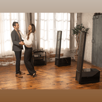 MartinLogan Impression  ESL 11A variant 48