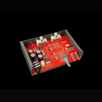 Schiit Audio Magni variant 7