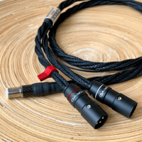 Ikigai Audio Kinzan variant 6