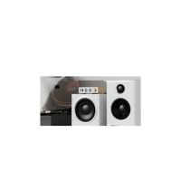FiiO LEVEL 1 variant 7