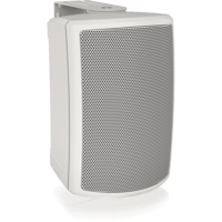 Tannoy AMS 5ICT-WH LZ variant 3