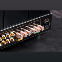 Cayin Soul 170I variant 4