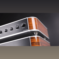 Fjord Audio Model A100 variant 2