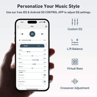 Arylic S10+ WiFi Music Streamer variant 8