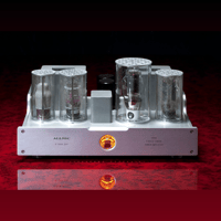 Allnic/ZL Technologies A-5000 DHT variant 1