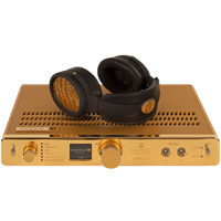 Warwick Acoustics Aperio Headphone System - gold variant 1