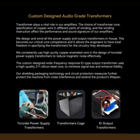 Cayin Soul 170HA variant 16