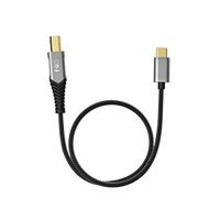 FiiO JA11 variant 195