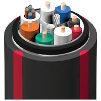 AudioQuest Cherry Cola 48 variant 3