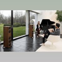 MartinLogan Motion Foundation F1 variant 24