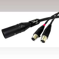 Tara Labs The Master Live variant 2