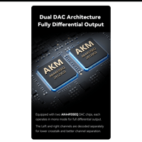 Cayin RU9 variant 10