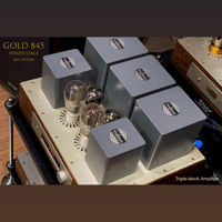 ThivanLabs GOLD 845 – V25 variant 4