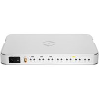 Silent Angel Forester FX variant 4