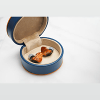 Dunu SA6 MKII variant 7