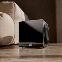 SVS 3000 Micro R|Evolution variant 5