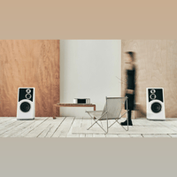 Audiovector Trapeze Reimagined variant 14