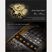 Cayin N8 Brass Black variant 4