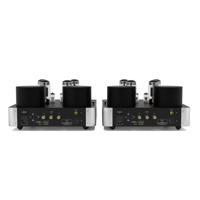 Fezz Audio Olympia Mono Power Amplifier variant 18