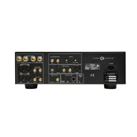 Cary Audio SI-300.2d Integrated Amplifier variant 7