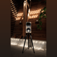 Buchardt Audio Anniversary 10 variant 33