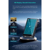 Cayin N6iii R202 variant 13