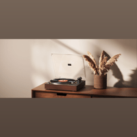 FiiO TT11 variant 2