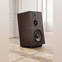 Revival Audio ATALANTE 5 variant 6