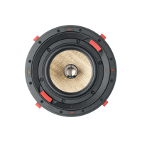 Focal 300 ICW6 variant 7