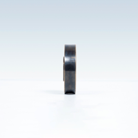 Fern and Roby The Brass Record Weight variant 3