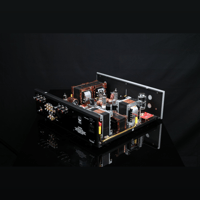 SW1x AMP I “Genie” Integrated Amplifier variant 17