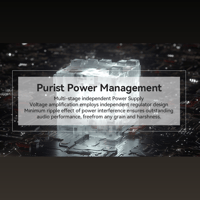 Cayin HA-6A variant 12