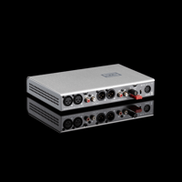 Schiit Audio Skoll F variant 3