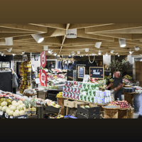 Spottune Omni Track variant 10