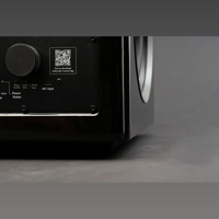 MartinLogan Abyss 8 variant 44