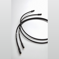 Jorma Audio Trinity variant 4