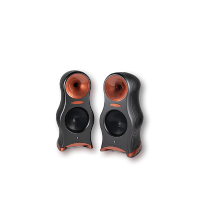 Zingali Acoustics Client Name 1.5