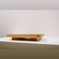 Fern and Roby The Amp Stand variant 5