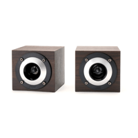 Fostex GS17H variant 1