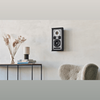 Audiovector R Onwall variant 7