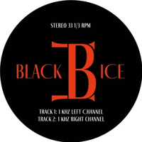 Black Ice Audio Black Ice Audio 1KHZ Test Record variant 1