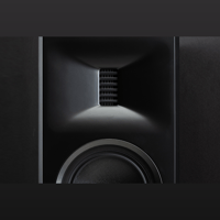 MartinLogan Motion XT F100 variant 2