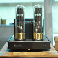 Blumenhofer Acoustics Gran Gioia 2x10" variant 13