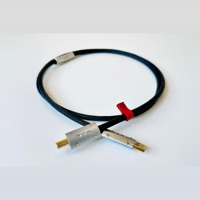 Ikigai Audio Sugure variant 1